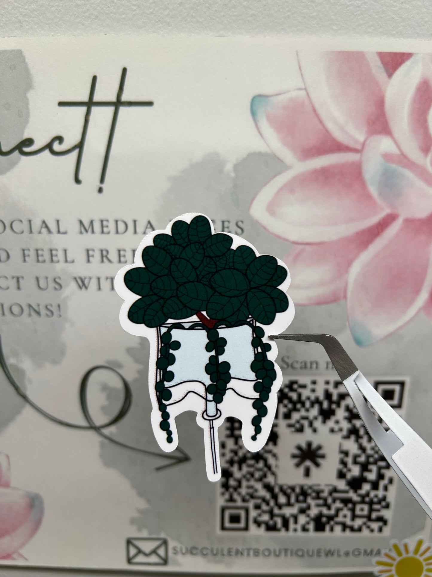 Plant IV Bag Sticker