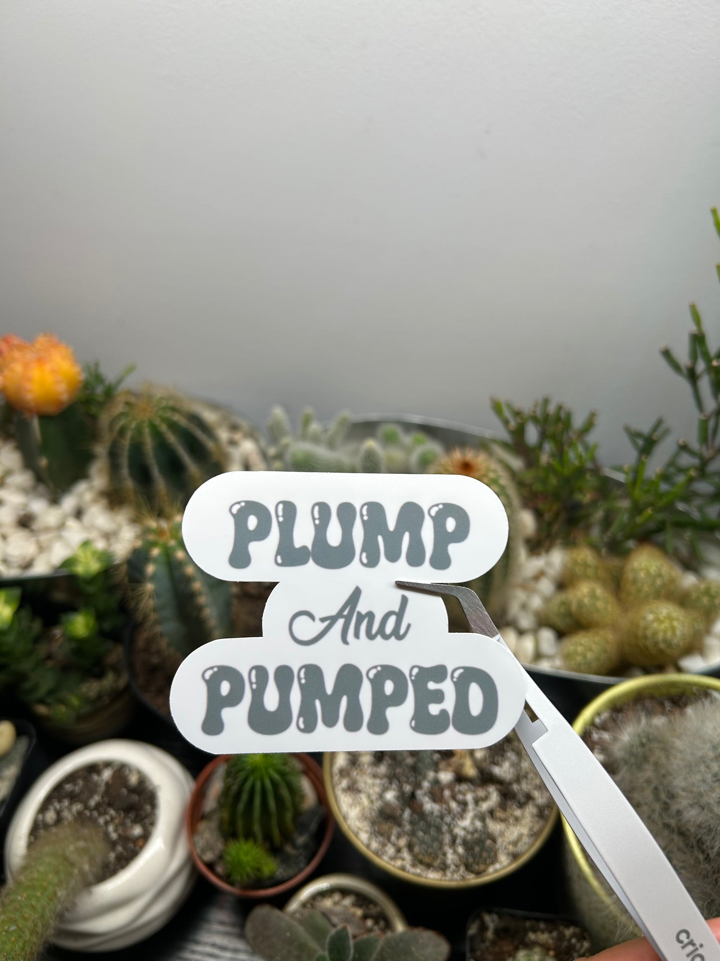 Plump and Pumped Stickers | 2 Options