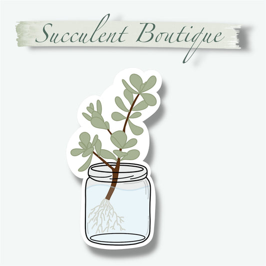Plant Propagation Jar Sticker