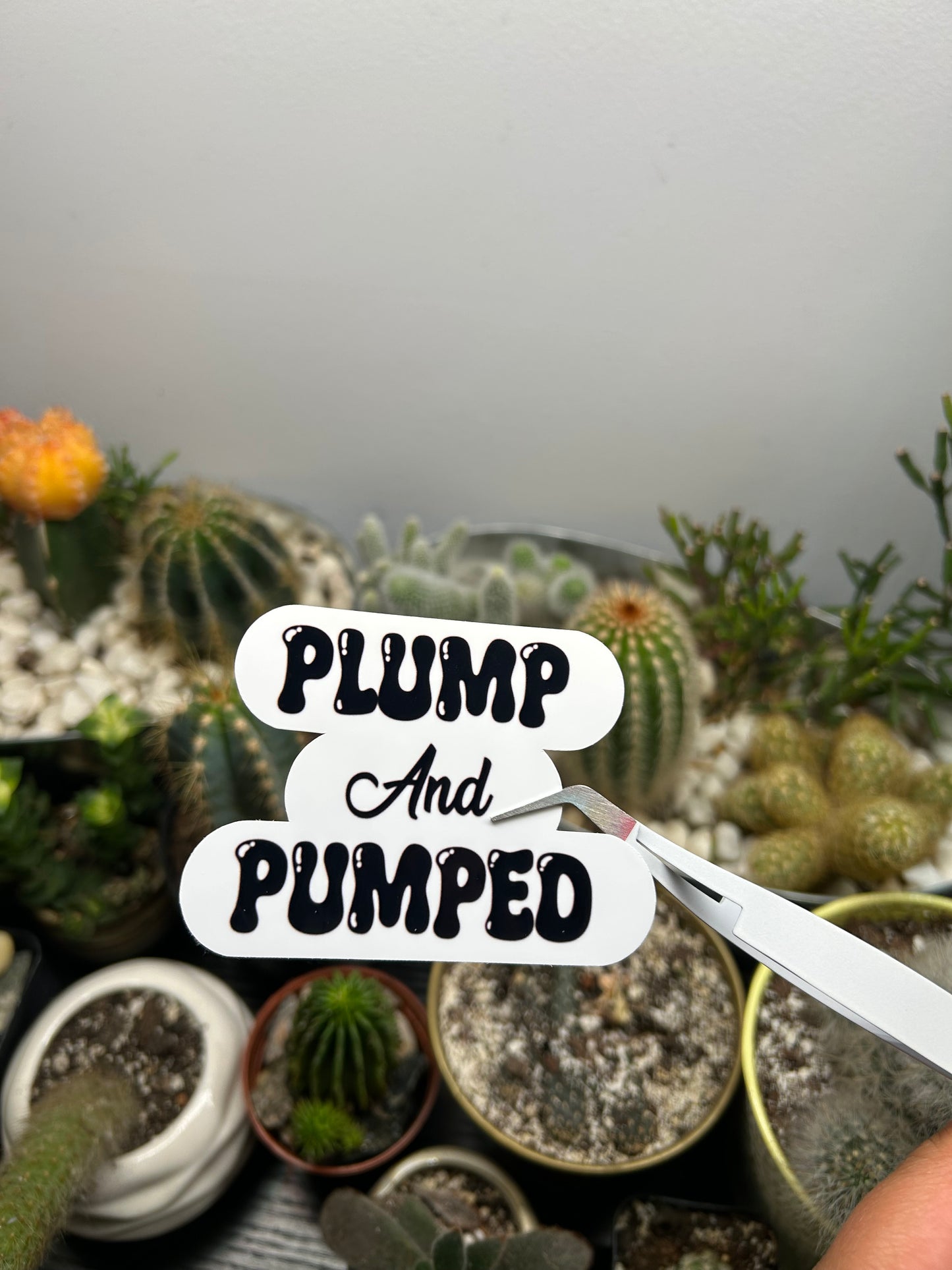Plump and Pumped Stickers | 2 Options