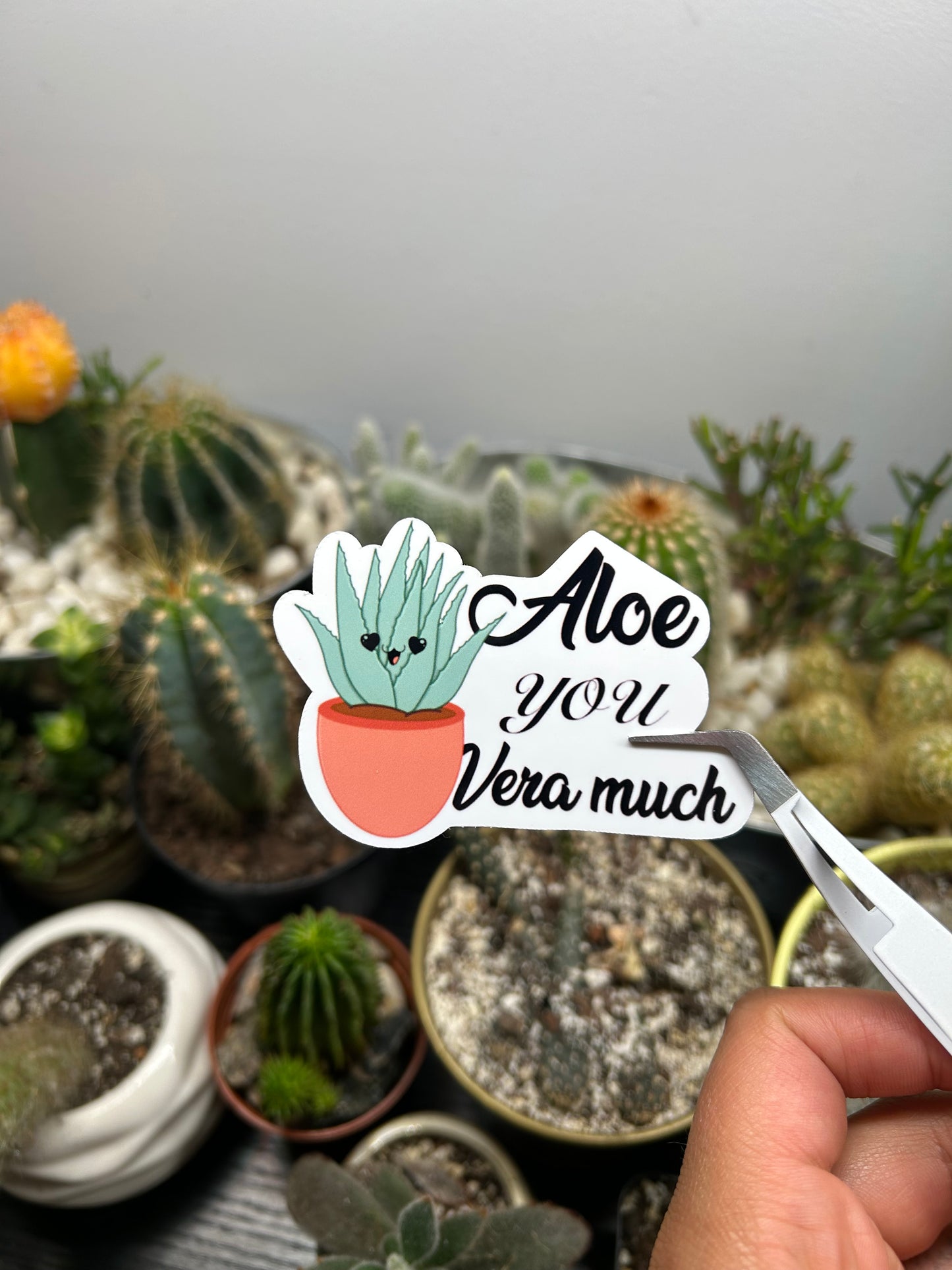 Aloe You Vera Much Sticker