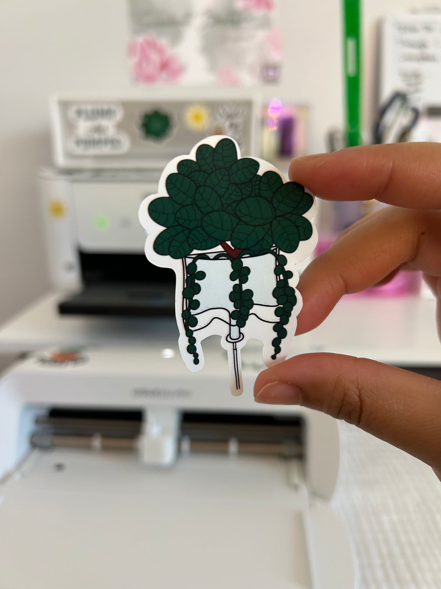 Plant IV Bag Sticker