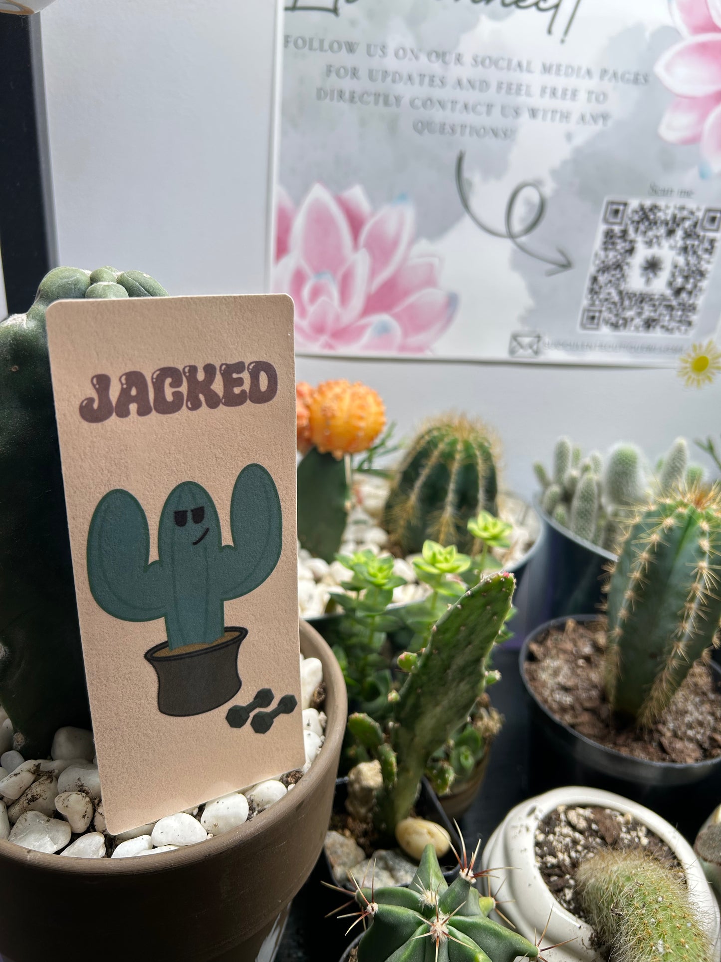 “Jacked” Cactus Jack With Dumbbells Bookmark