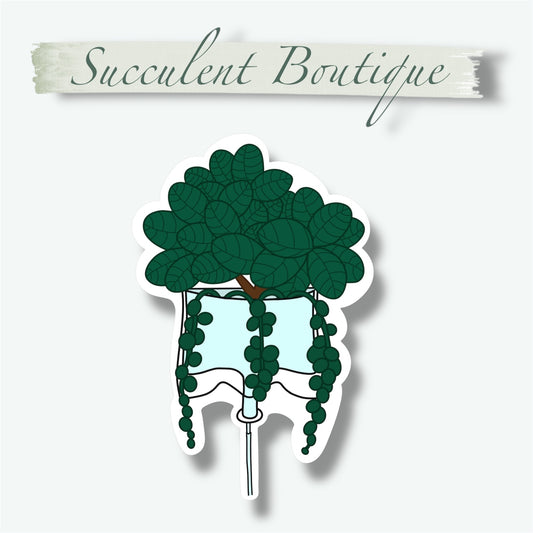 Plant IV Bag Sticker