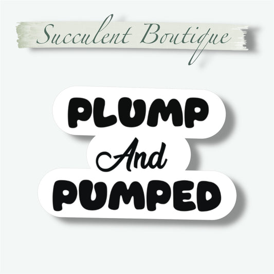 Plump and Pumped | Black bubble letters