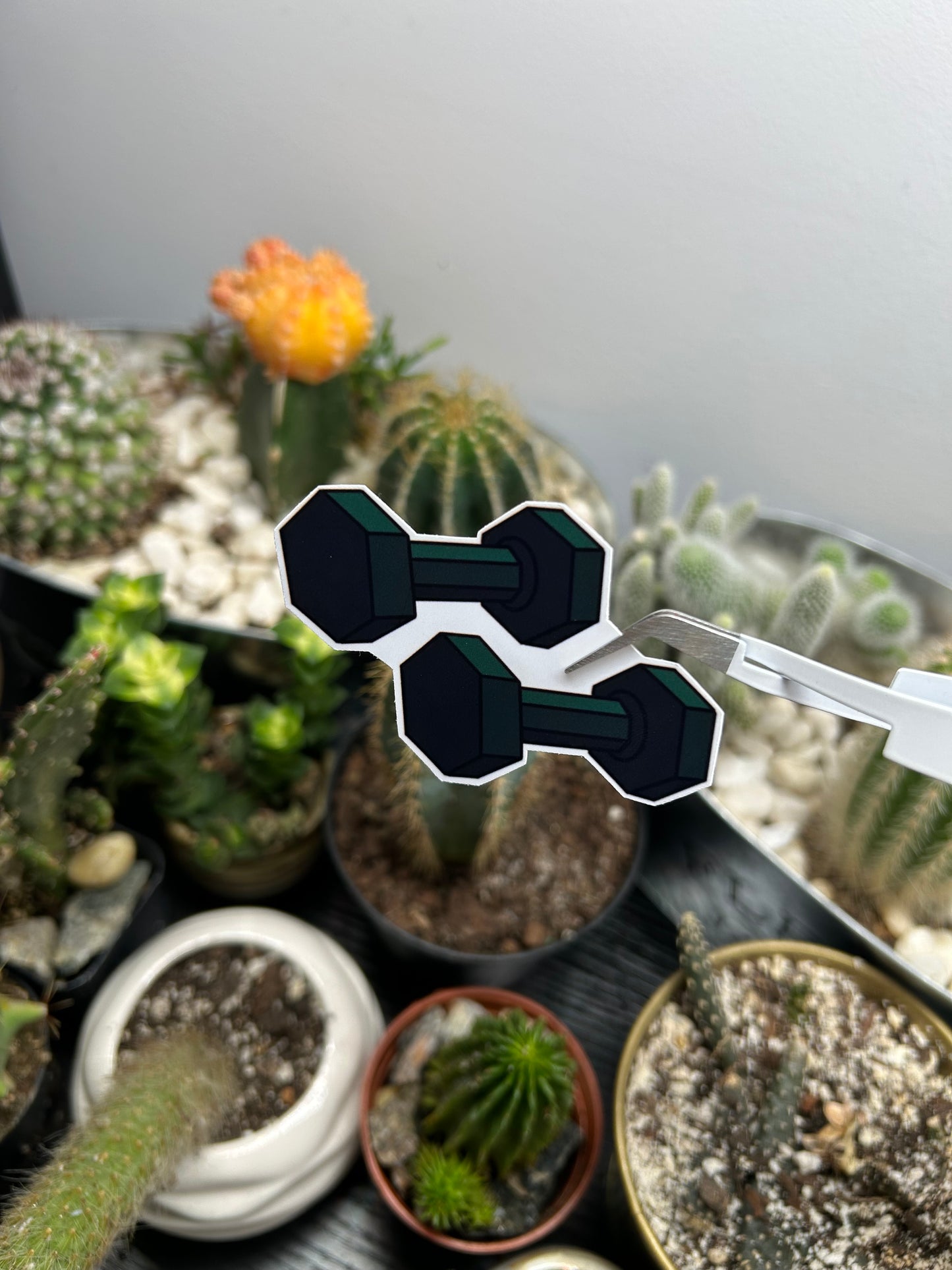 Cactus Jacks Dumbbells Sticker